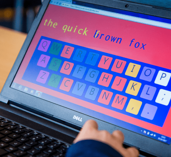 The Effectiveness of IDL Literacy - A Summary of Research